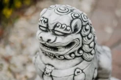Gartendekoparadies Animaux-Lions gardiens chinois : Chiens Shishi Fu