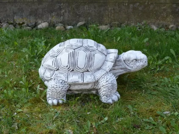 Gartendekoparadies Animaux-Énorme tortue