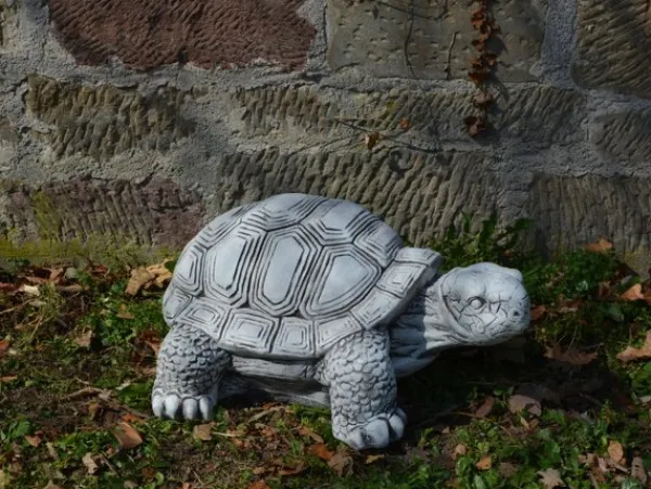 Gartendekoparadies Animaux-Énorme tortue