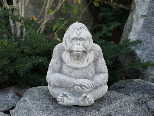 Gartendekoparadies Animaux-Orang-outan paisible