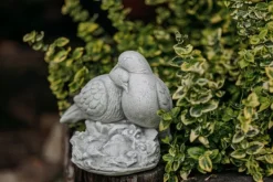 Gartendekoparadies Animaux-Paire de pigeons avec progéniture
