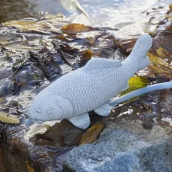 Gartendekoparadies Animaux-Petit poisson koi