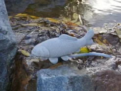 Gartendekoparadies Animaux-Petit poisson koi