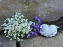 Gartendekoparadies Belle-Prends ton coeur en main