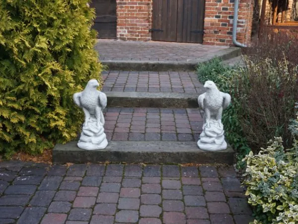 Gartendekoparadies Animaux-Prix ??spécial : aigle royal en double