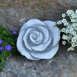 Gartendekoparadies Belle-Prix spécial : deux roses décoratives