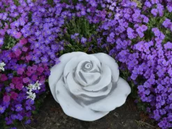 Gartendekoparadies Belle-Prix spécial : deux roses décoratives