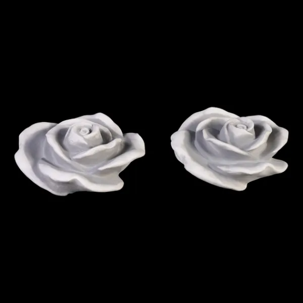 Gartendekoparadies Belle-Prix spécial : deux roses décoratives