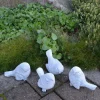 Gartendekoparadies Animaux-Prix ??spécial : lot d'oiseaux Mésange bleue