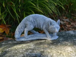 Gartendekoparadies Animaux-Renard roux sauvage