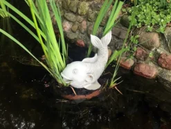 Gartendekoparadies Animaux-Saragoi : magnifiques poissons koi