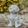 Gartendekoparadies Animaux-Shih Tzu exotique