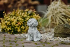 Gartendekoparadies Animaux-Shih Tzu exotique