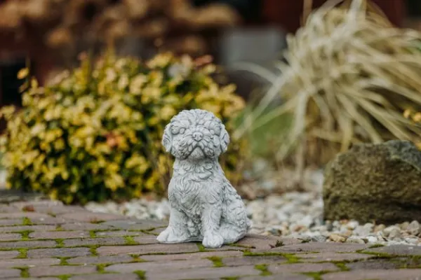 Gartendekoparadies Animaux-Shih Tzu exotique