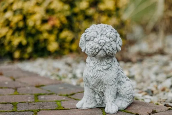 Gartendekoparadies Animaux-Shih Tzu exotique