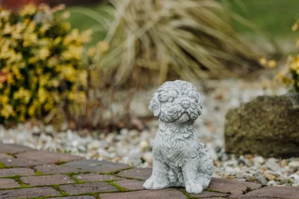 Gartendekoparadies Animaux-Shih Tzu exotique