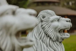 Gartendekoparadies Animaux-Statue de lion avec boule à droite