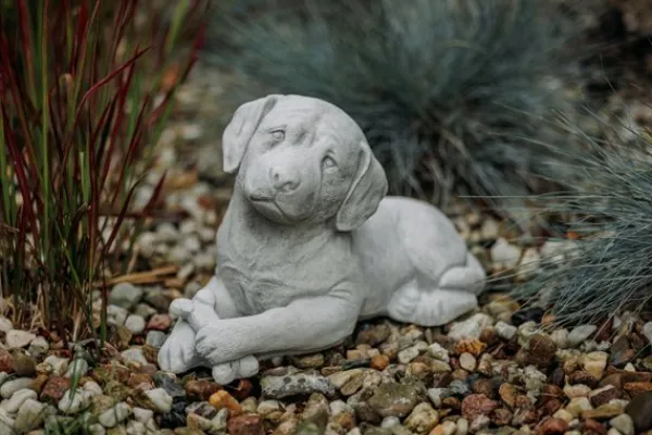 Gartendekoparadies Animaux-Statue du labrador
