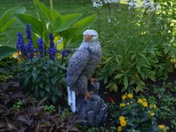 Gartendekoparadies Animaux-Statue d'aigle à patine antique