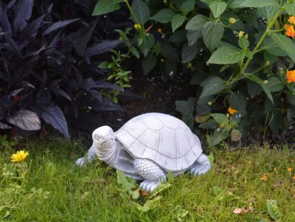 Gartendekoparadies Animaux-tortue