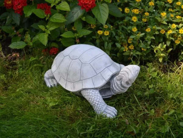 Gartendekoparadies Animaux-tortue