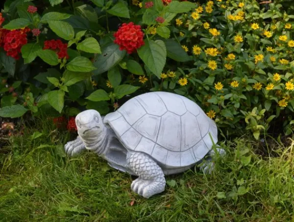 Gartendekoparadies Animaux-tortue