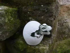 Gartendekoparadies Animaux-Un petit dinosaure sort de l'œuf